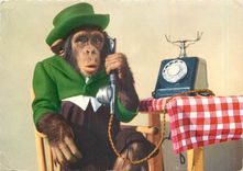 CPM Singe  Telephone