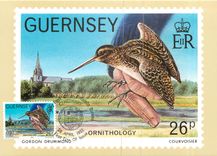 CPA Guernsey Ornithology 