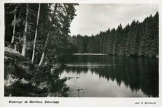 CPM Braunlage im Oberharz Silberteich 