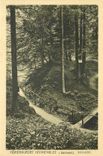 CPA Hohenkurort Hahnenklee i Oberharz Schlucht 