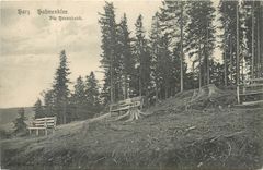 CPA Harz Hahnenklee Die Bexenbank 