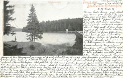 CPA Gruss aus Bockswiese Hahnenklee (carte 1899)