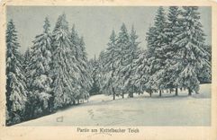 CPA Partie am Kuttelbacher Teich 
