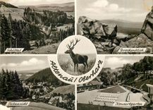 CPM Altenau Oberharz 