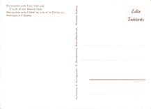 CPM Munchen Marienplatz mit Rathaus Frauerkirche