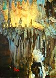 CPM Grotte des Demoiselles La Caverne Merveilleuse Les Vasques
