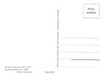 CPM Ce 2/2 1 devenue Te 2/2 41 Depot de Bevieux 1960