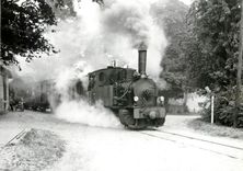 CPM Train vapeur dans la traversee d'Uenzen 1.9.1961