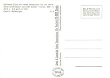 CPM Idylische Ecke mit vielen Holzbauten bei der Haltestelle Unterwasser zwischen beiden Tunnels: MI