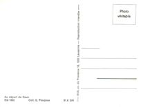CPM Au départ de Caux