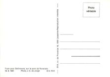 CPM Train pour Bellinzona sur le pont de Roveredo