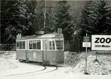 CPM Ausnahmsweise Gelangen leichte Vierachser bis nim Zoo wie VBZ Be 4/4 1531 