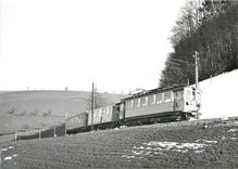 CPM Train pour Berne  entre Worb et Muri  Be 4/4 33 BF2 73 B10.8.4.1956. photo J-J Meltzer