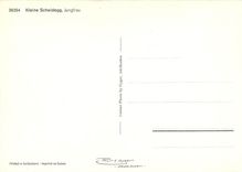 CPM 36254 Kleine Scheidegg.Jungfrau