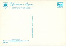 CPM Festining Railway