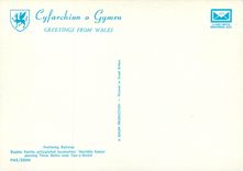 CPM Festining Railway