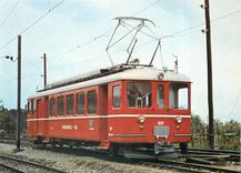 CPM Das jüngste Pterd im FW-Stall