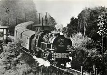 CPM Dampflokomotiven im Einsatz