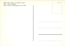 CPM BLJ 6 med nagra av museets vagnar