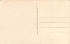 CPA Palais de Versailles Le Bassin de Neptune Grandes Eaux 