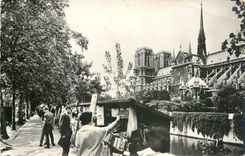 CPM Paris Les Bouquinistes sur le quais vers la Cathedrale Notre Dame de Paris 