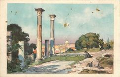 CPA Roma Veduta dai Palatino 