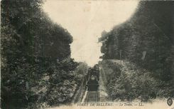 CPA Foret de Belleme Le Train 