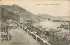 CPA Oran Le Pont pris de la Promenade Letang 