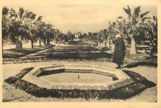 CPA Casablanca Parc Lyautey Une Allee 