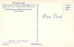 CPA The Human Heart The Museum of Science and Industry Chicago Illinois