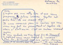 CPM La Camargue Pays de ciel bleu et de mirages Manade de chevaux sauvages