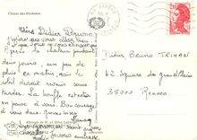 CPM Chiots des Pyrenees 