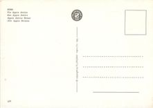 CPM Roma Rue Appia Antica 