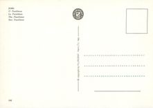 CPM Roma Le Pantheon 