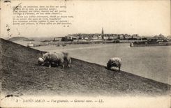 Saint Malo CPA View (sheep) General view