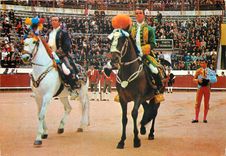 CPA Lisboa Corrida de Touros Course a Taureaux Bullfight 
