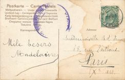 CPA Enfant Chiens