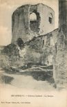 CPA Les Andelys Chateau Gaillard Le Donjon 