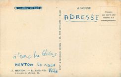 CPA Menton La Vieille Ville a travers les oliviers 