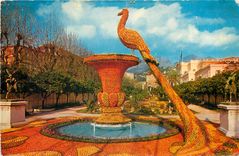 CPM Menton AM Motif compose oranges et de citrons 