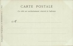 Versailles - Palate of Versailles - Sight has flight bird on the park the palate and the city - CPA