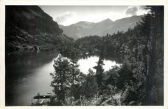 CPM Alpines Pflanzenschutzgebiet und Arvenreservat Murgsee 