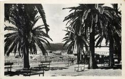 CPM Ste Maxime La Place des Palmiers 