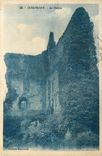 CPA DOMFRONT Le donjon