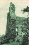 CPA DOMFRONT Ruines du vieux donjon