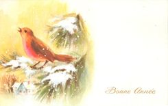 CPABonne annee Oiseau
