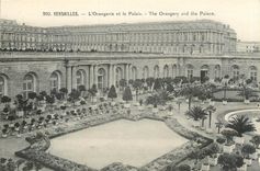  CPA VERSAILLES L'Orangerie et le Palais