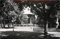 CPM MONTPELLIER - Le Kiosque Bosc
