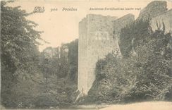 CPA PROVINS-Anciennes Fortifications (autre vue)