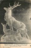 CPA Torigni sur Vire Le Musee La Harde de Cerfs Ceuvre d'Arthur Le Duc 